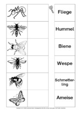 AB-Tiere-Zuordnung